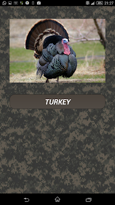 Turkey hunting callsのおすすめ画像1