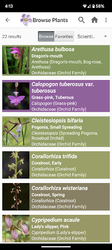 Screenshot of Flora of Virginia