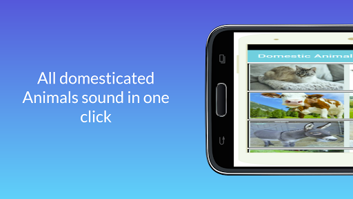 Domestic Animals Sound Screen 3