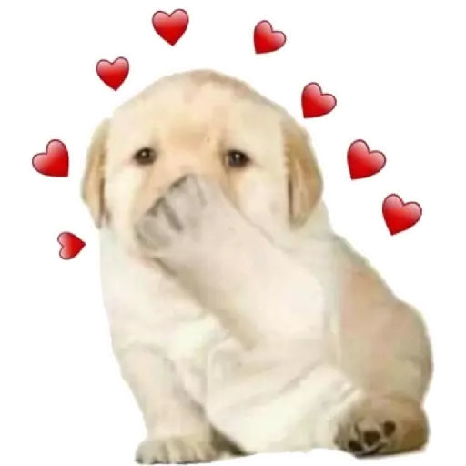 Sticker De Amor - Romántico Screen 3