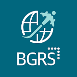 BGRS ReloAccess icon