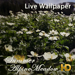 Cover Image of Unduh Summer Alpine Meadow HD LWP 1.0 APK
