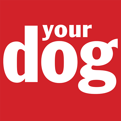 Get Your Dog Magazine for Android Aso Report