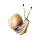 CaraCol
