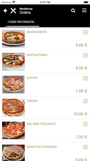Blasi Group Screen 3