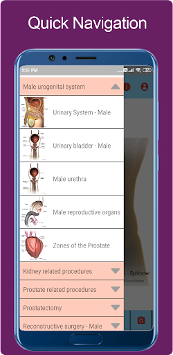 Urology Atlas - ZN Screen 3