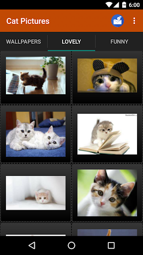 Cat wallpapers and funny pics Screen 3