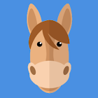 Quizz Horse Poney Horse riding 4.3