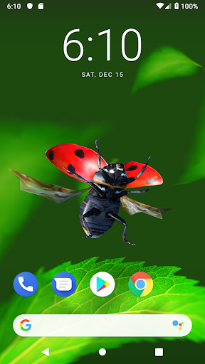 Android application Bugs Life 3D Free - 3D Live Wa screenshort
