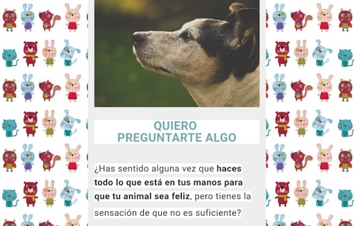 como cuidar a mi perro