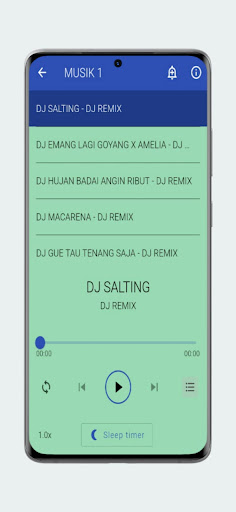 DJ Salting Remix