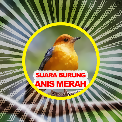 Suara Burung Anis Merah