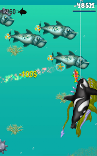 Hunting And Fishing
