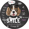 Get BFF110- Blackboard Art Dog for Android Aso Report
