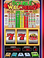 screenshot of Wild Cherry Double Slots