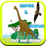 Dinosaur Games Free: Kids icon