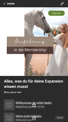 Detailreiterei Screen 3