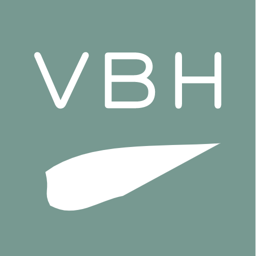 VBH Download on Windows