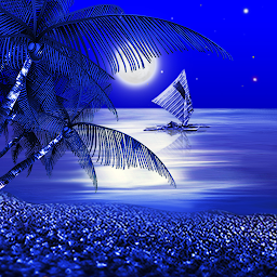 Imatge d'icona Night Beach Live Wallpaper