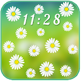 Camomiles Flowers LWP icon