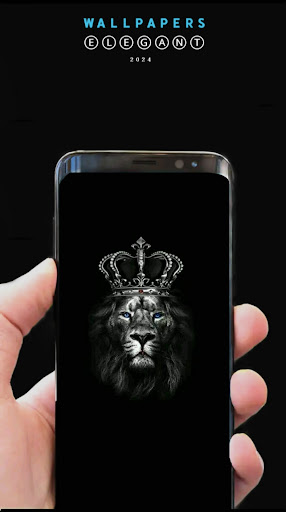 black wallpaper 8k 2024