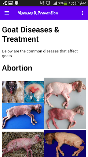 Goat Farming Guide Screen 3