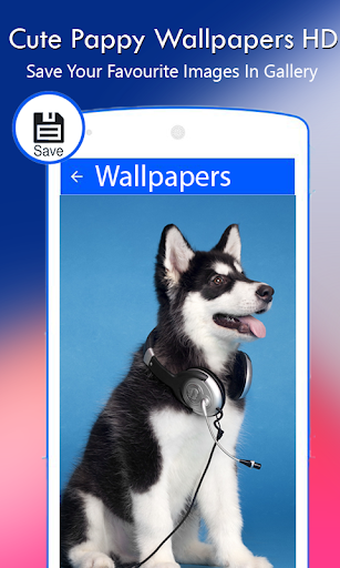 Cute Pappy Wallpapers Screen 3