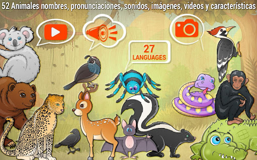 Vista previa de la aplicación