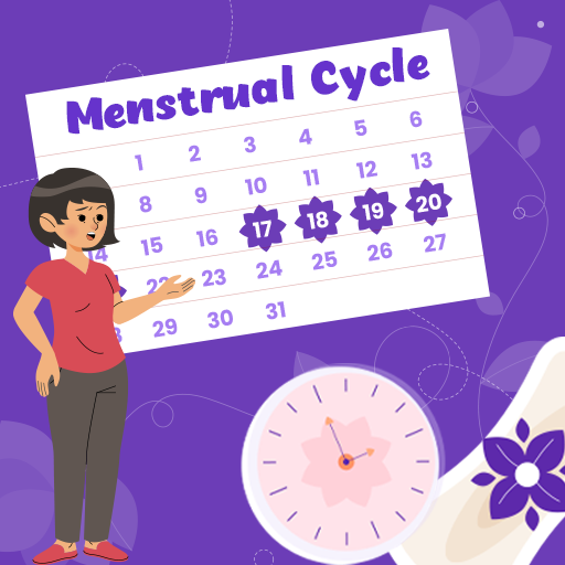 Menstrual Cycle Tracker 28day