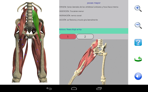 Captura 12 Visual Anatomy android