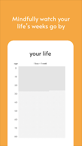 Lifegrid - Life Calendar