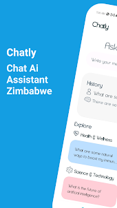 ZvoseChat Assistant - Zimbabwe