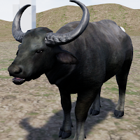 Happy Water Buffalo Simulator