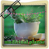 medicinal plants & herbs icon