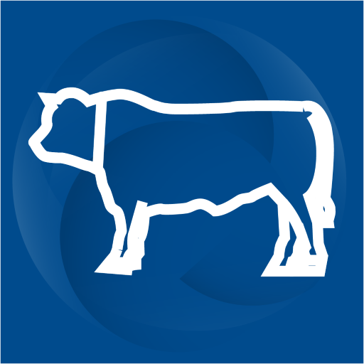 Semper Corte logo