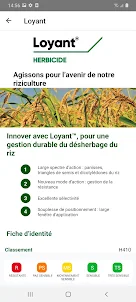 RiceXpert France