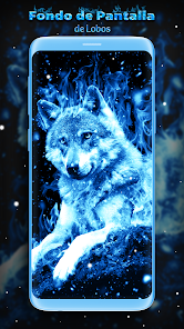 Fondo de Pantalla de Lobo Azul - Aplicaciones en Google Play