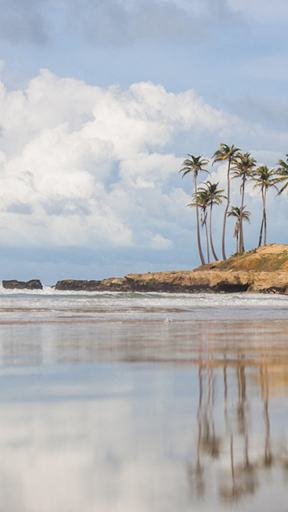 Android application Litoral ComBrasil TV screenshort