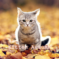 Kitten Autumn Тема+HOME
