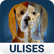 Top 20 Medical Apps Like Osteology in Dogs - Best Alternatives