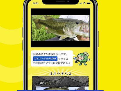 最高のコレクション 種図鑑 魚 種類 わからない 258764