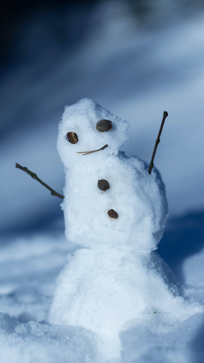 Android application Winter Wallpaper screenshort