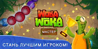 Game screenshot Шарики Woka Woka Marble Puzzle apk download