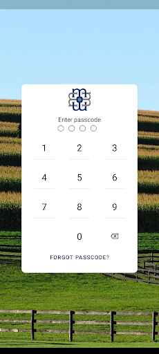 Android application Bank of Millbrook screenshort