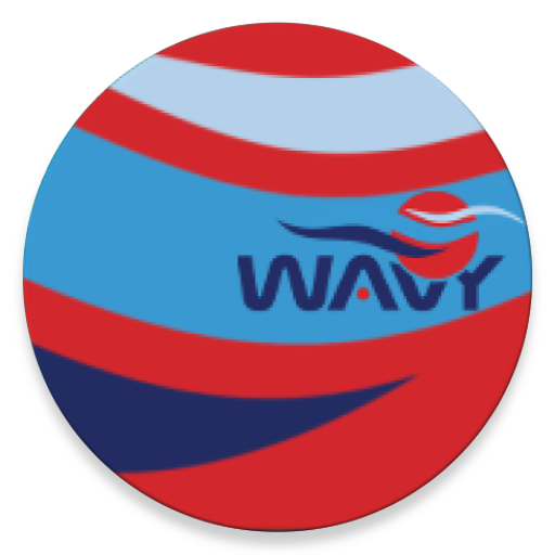 WavyHub logo