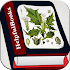 Herbal medicines plant43.0