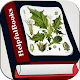 Herbal medicines plant