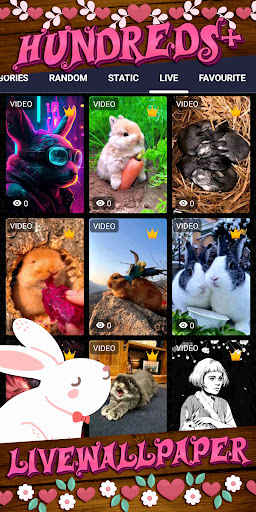 cute bunny wallpaper Screen 3