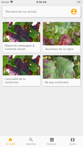 Vigie Bourgogne Screen 2