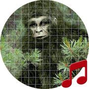 Bigfoot Sounds ~ Sboard.pro